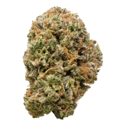 White Rhino Strain Guide for Australia: Effects, Benefits & Flavor Profile