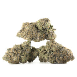 Black Cherry Pie Strain – Sweet Hybrid with Balanced Effects