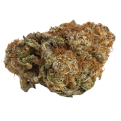 Girl Scout Cookies Strain