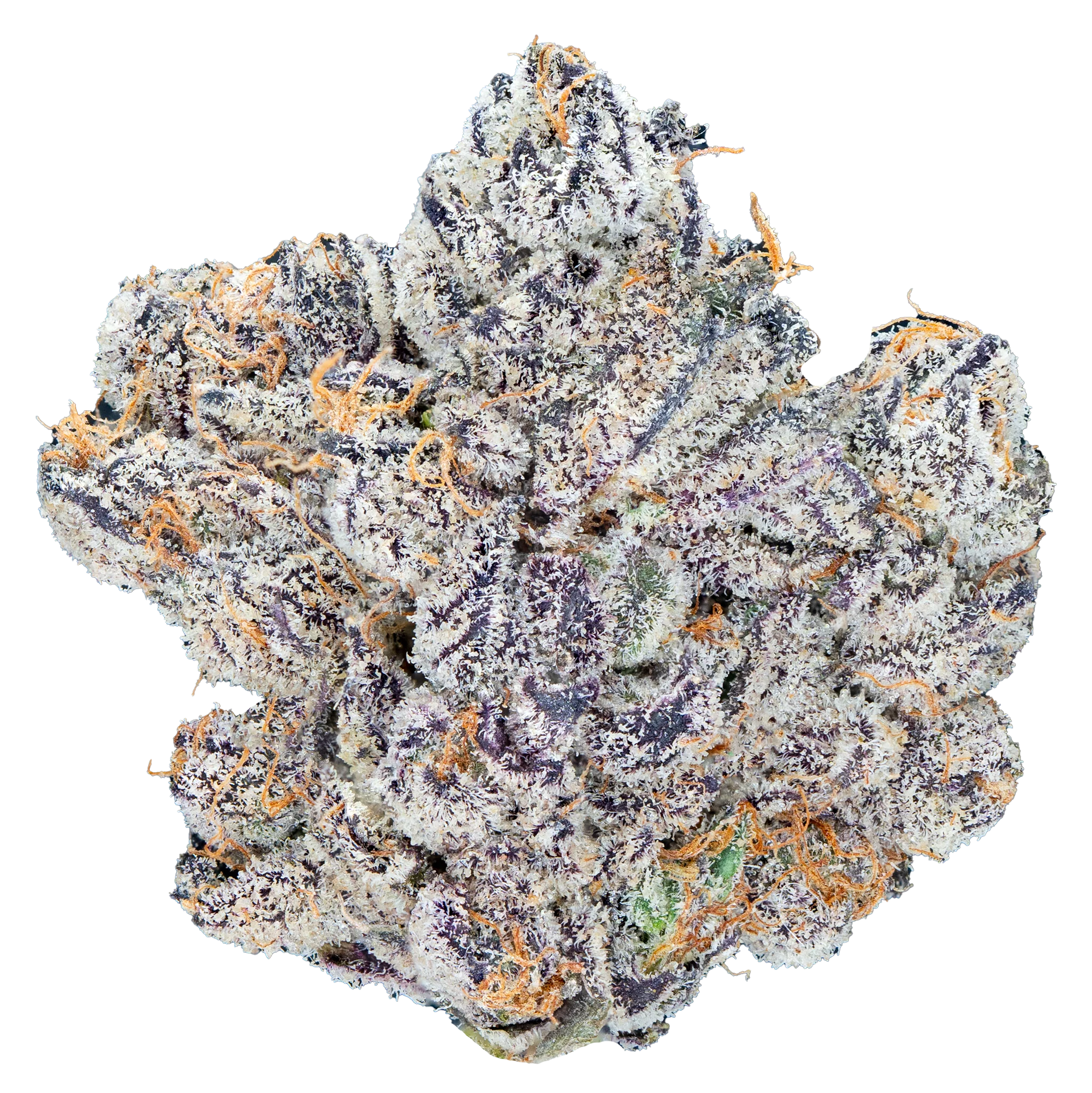 Godfather OG Marijuana Strain