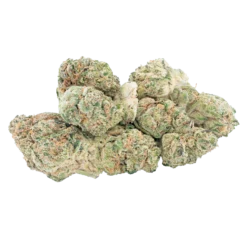 Godzilla Strain-Complete Guide, Effects, Benefits & Tips (Australia)