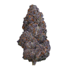 grand daddy purple strain indica or sativa