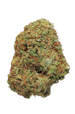 cbd white widow strain,