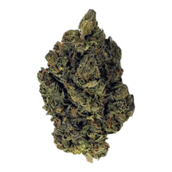 Blackberry Moonrocks Strain-Potency, Effects, Benefits & Australia Guide