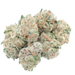 blackberry kush indica