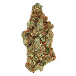 Mango Strain: Effects, Flavor, Benefits & Guide in Australia (2026)