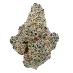 northern lights bud strain