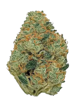 strawberry diesel strain